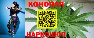 гашик Гай