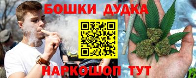 МДПВ Гатчина