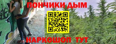 гашик Гай