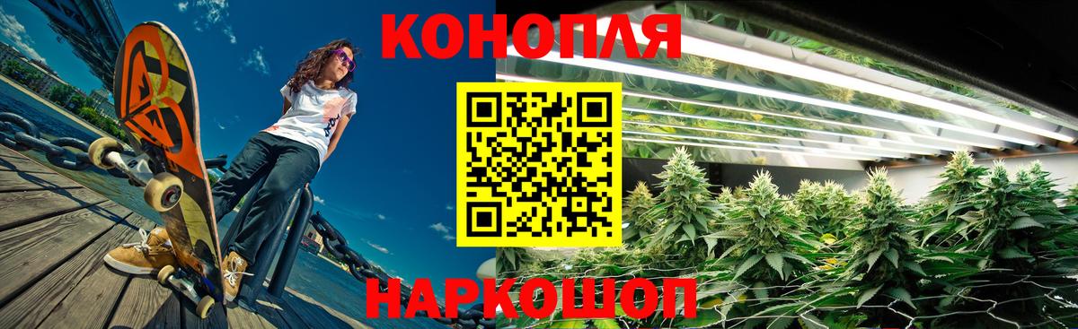 Каннабис сатива Медногорск